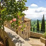 Roses at balcony in San Gimignano, Tuscany landscape background