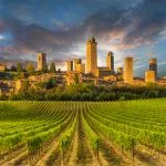 Vineyards of San Gimignano, Tuscany, Italy